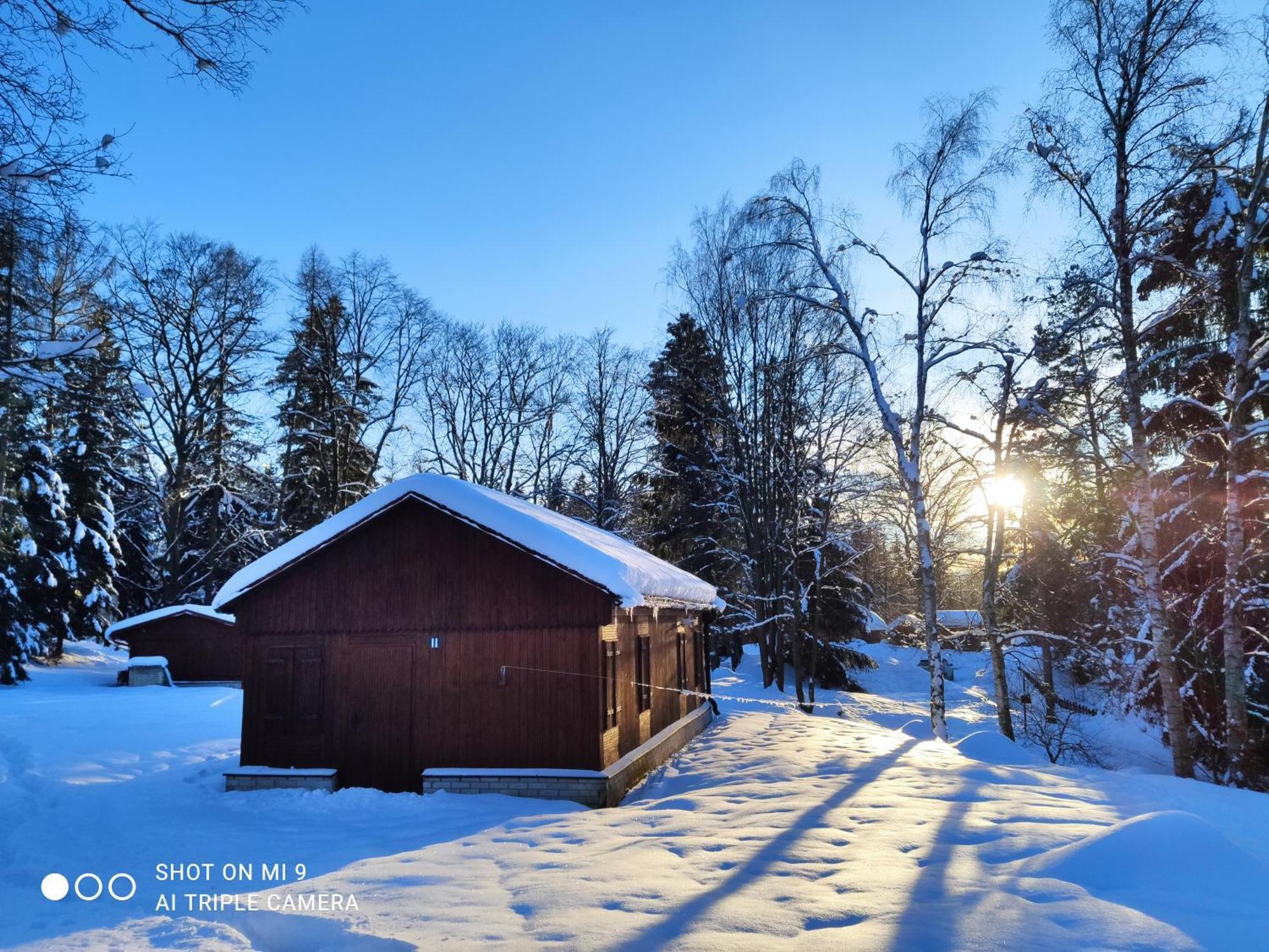 Lesni Chaty "Hogo Fogo" Kytlice Exteriör bild