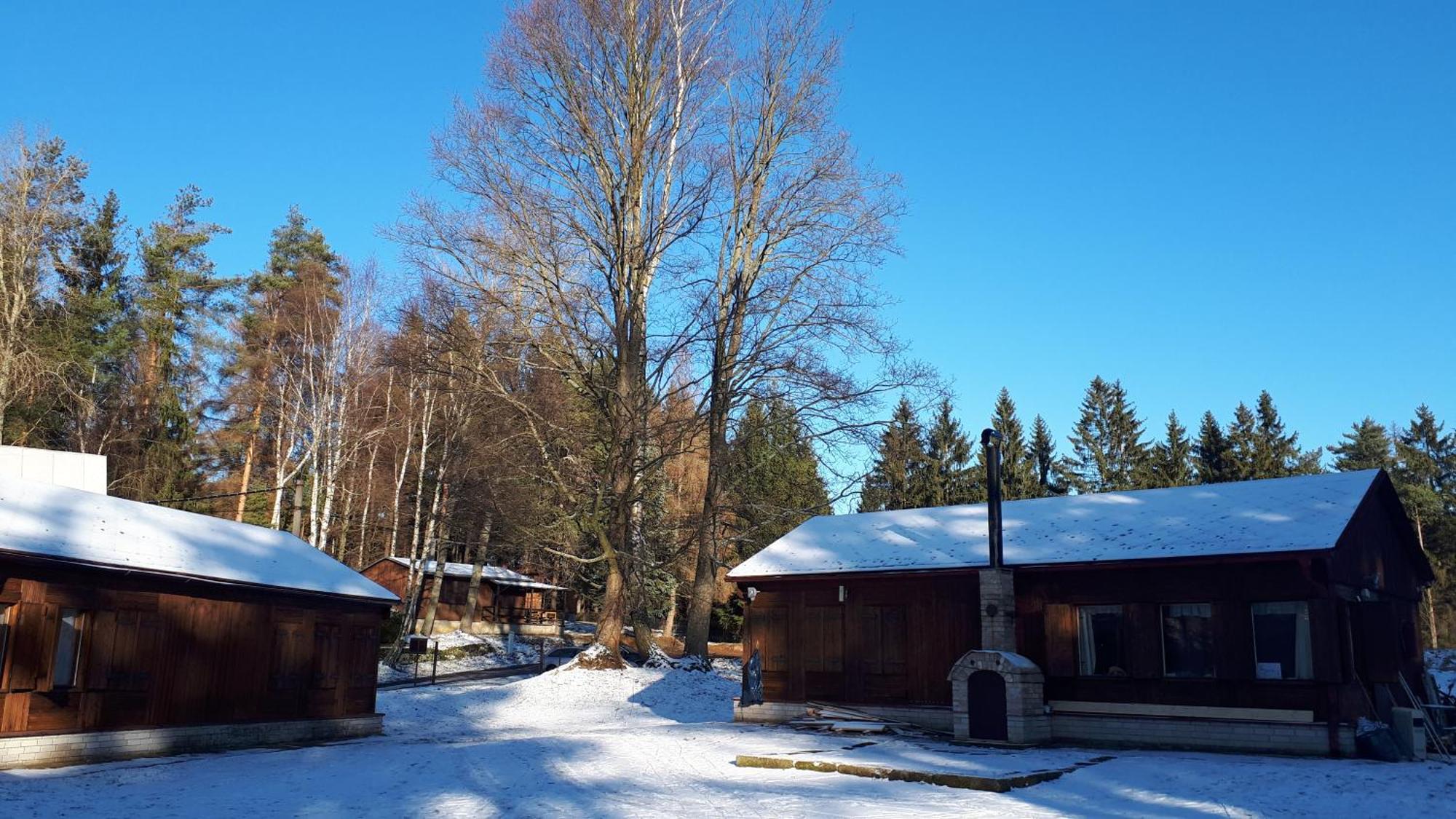 Lesni Chaty "Hogo Fogo" Kytlice Exteriör bild