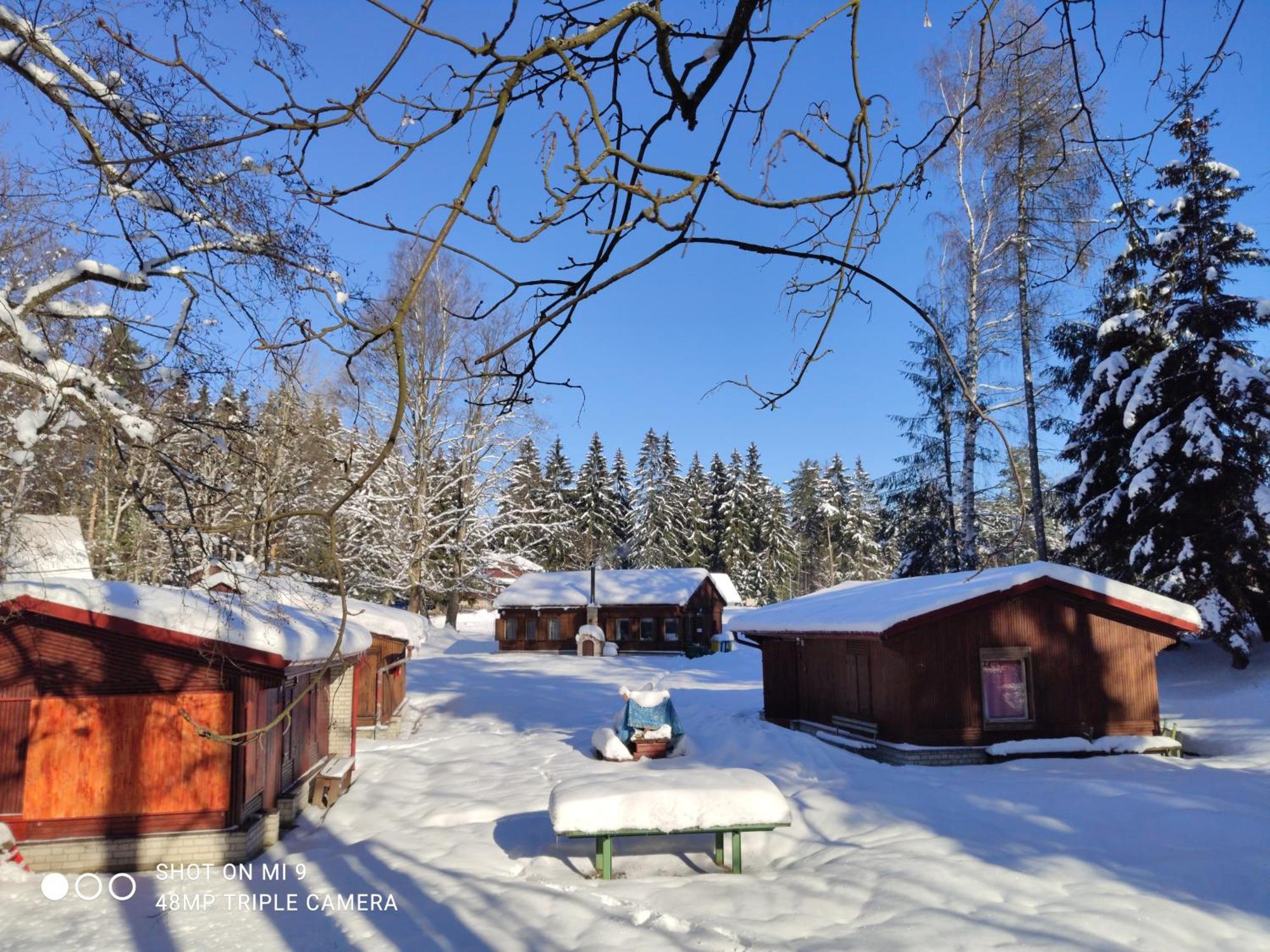 Lesni Chaty "Hogo Fogo" Kytlice Exteriör bild