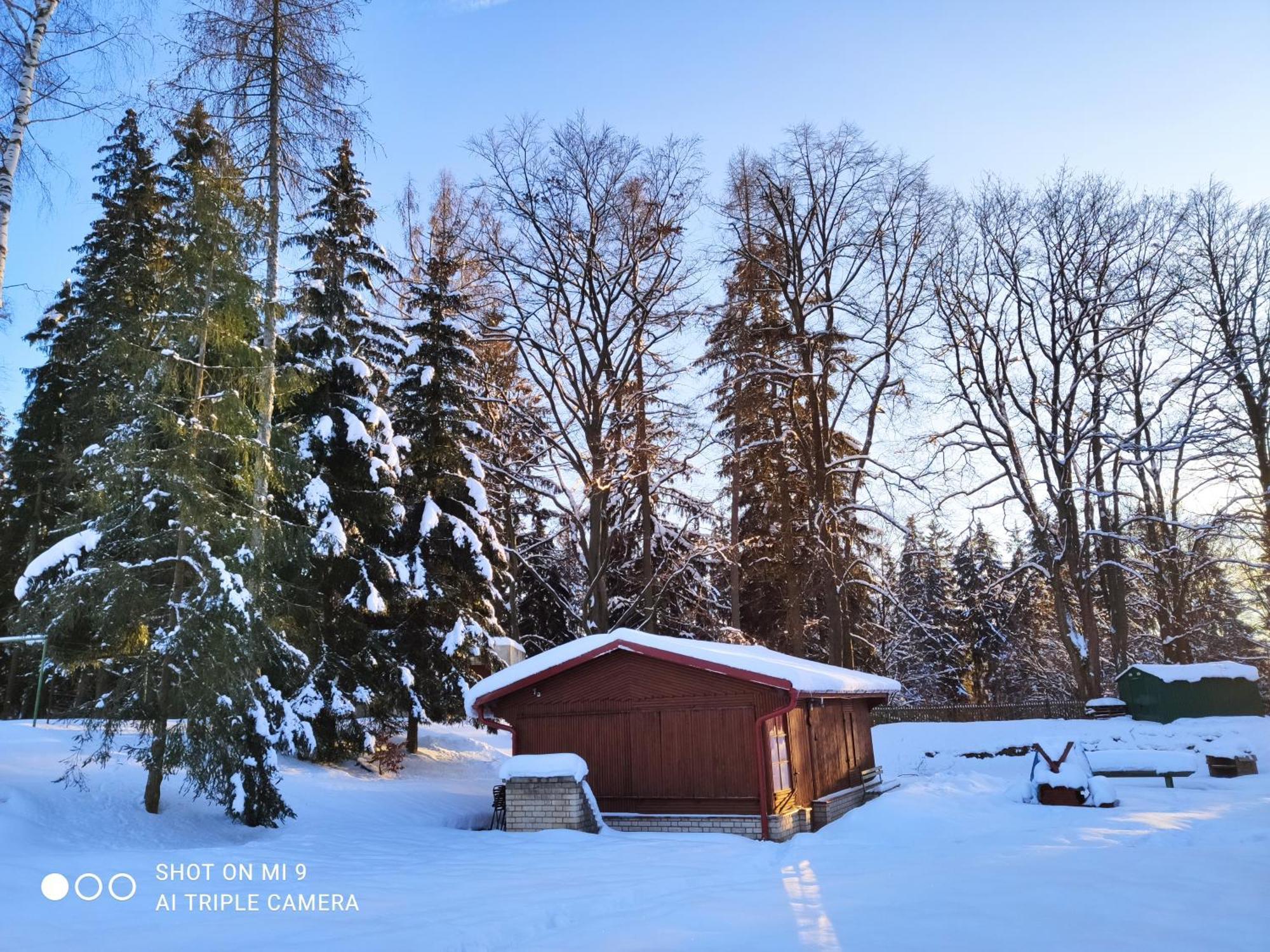 Lesni Chaty "Hogo Fogo" Kytlice Exteriör bild