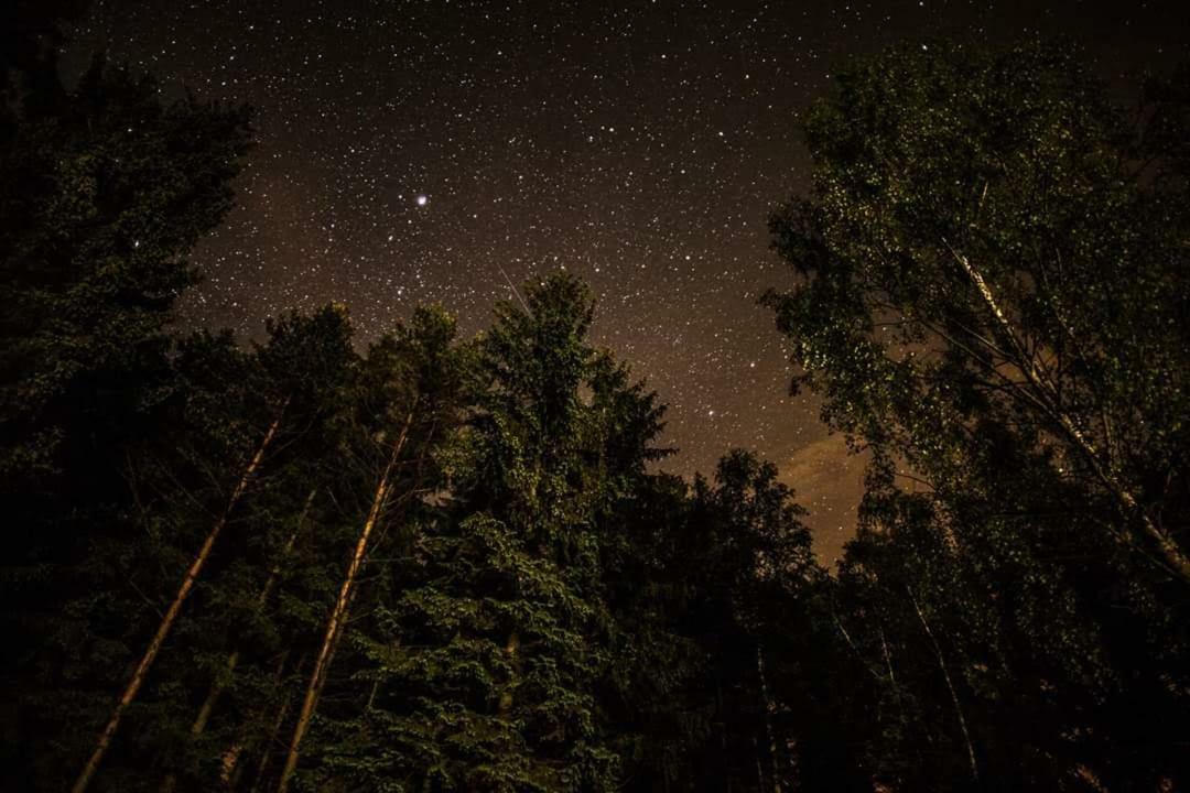 Lesni Chaty "Hogo Fogo" Kytlice Exteriör bild