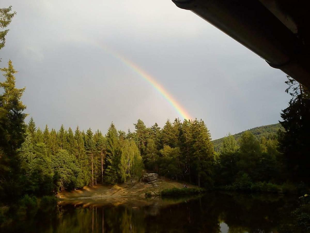 Lesni Chaty "Hogo Fogo" Kytlice Exteriör bild