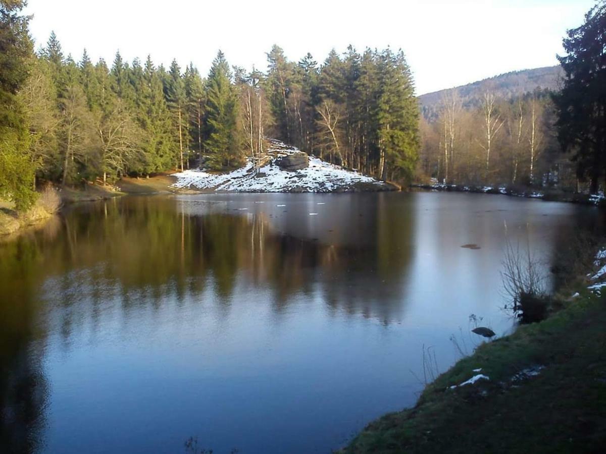 Lesni Chaty "Hogo Fogo" Kytlice Exteriör bild